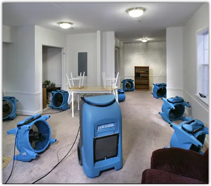 Water Mitigation Services in South El Monte, CA